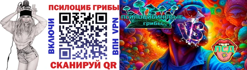Галлюциногенные грибы Psilocybe  hydra ссылка  Александровск  где найти  
